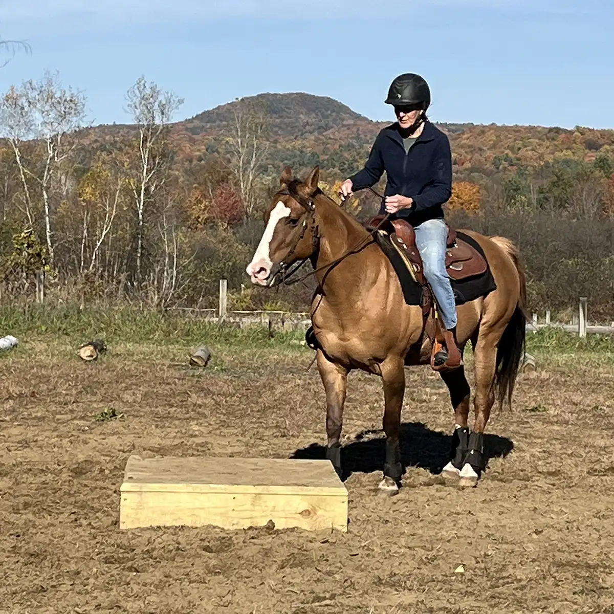 adult horsr riding boot camps vermont