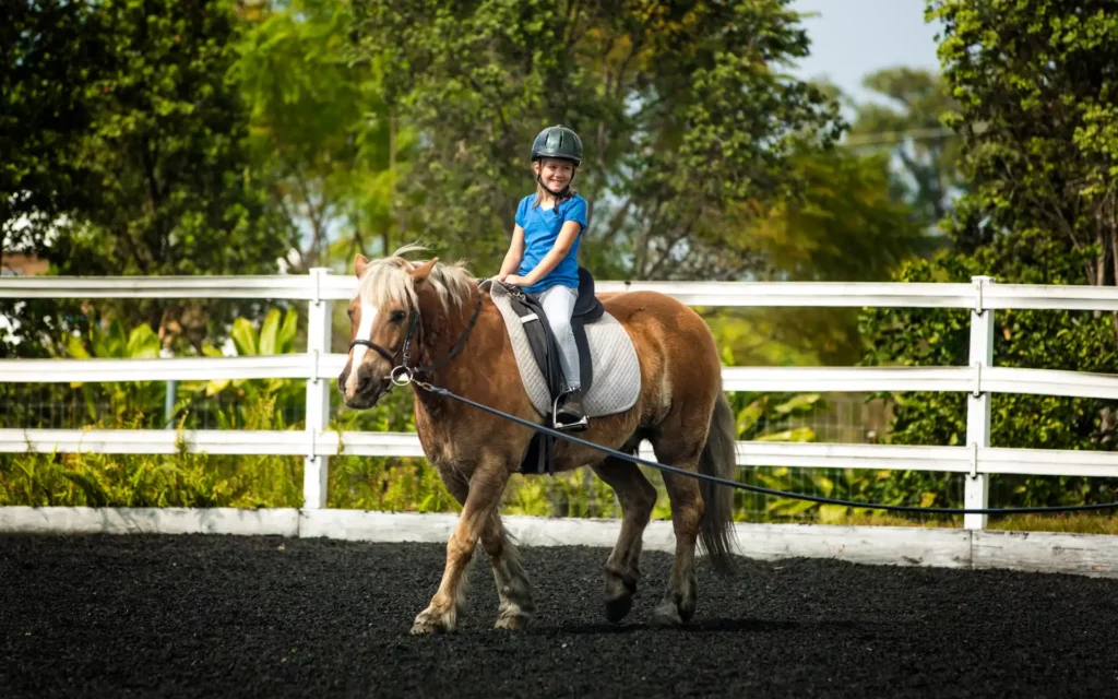 horse lessons vermont burlington