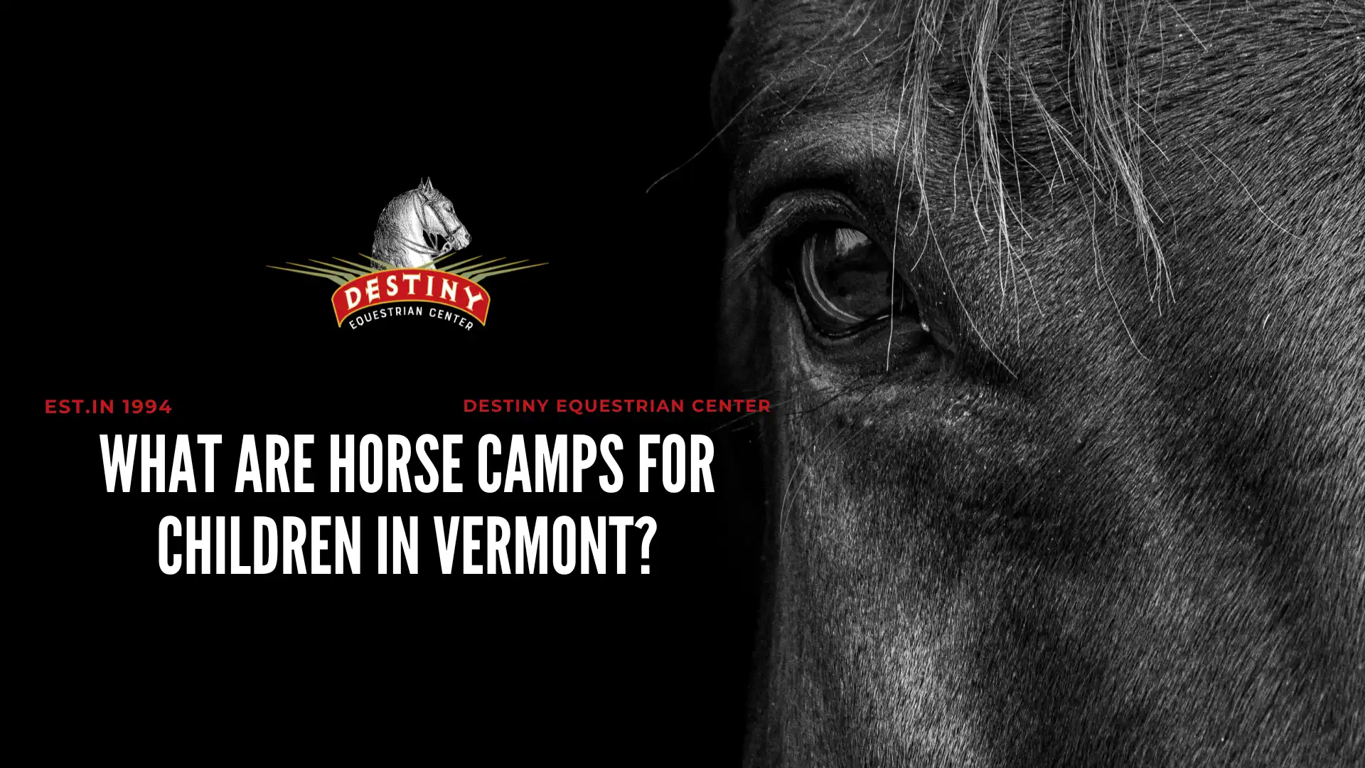 vermont burlington horse camps children